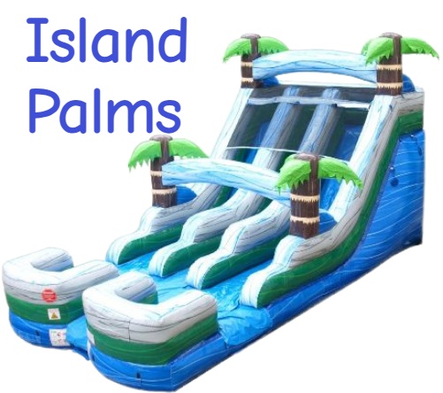Island Palms Double waterslide